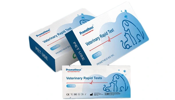 Dog Health Tests