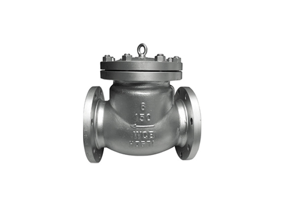 ZHMWS-A1 WCB Body Check Valves Flanged End