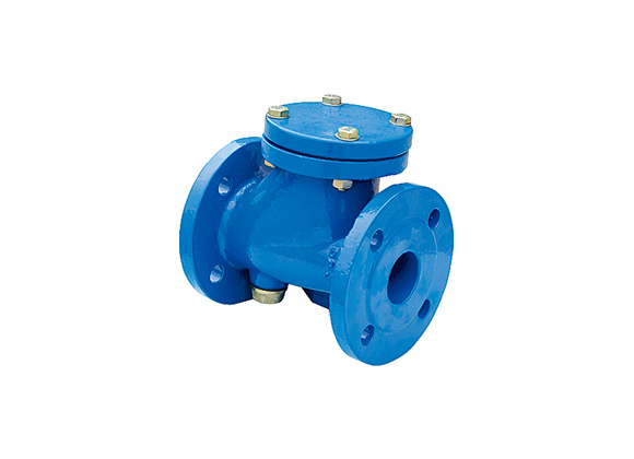 ZHRIB-D1 DIN 3202 BALL TYPE Check Valves Flanged End