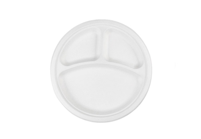 DISPOSABLE FOOD PLATE