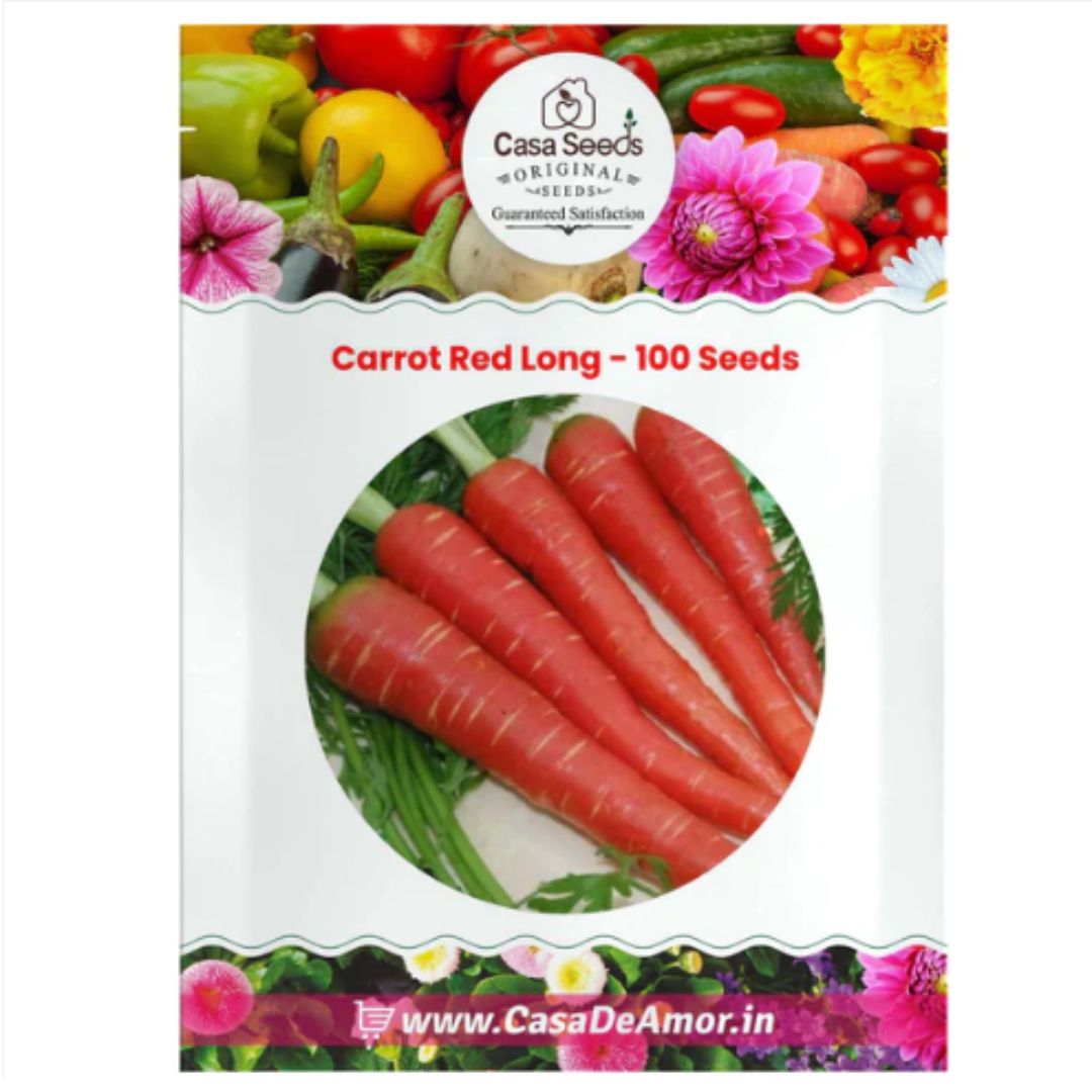 Buy Carrot Seeds - 100 Seeds | Casa de amor