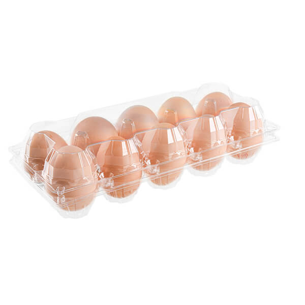 Disposable Egg Tray