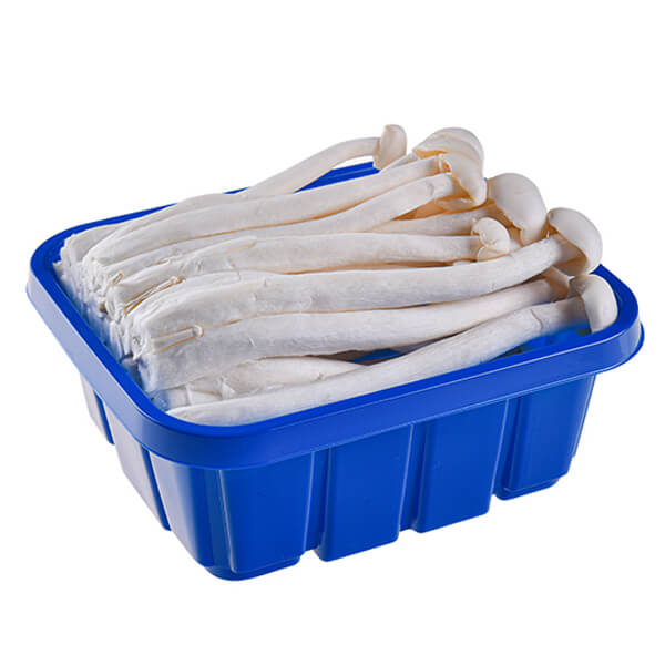 Disposable Vegetable Tray