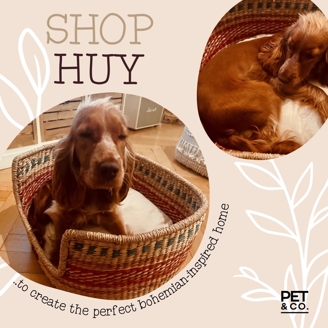 Huy Dog Basket Online - Pet & Co.