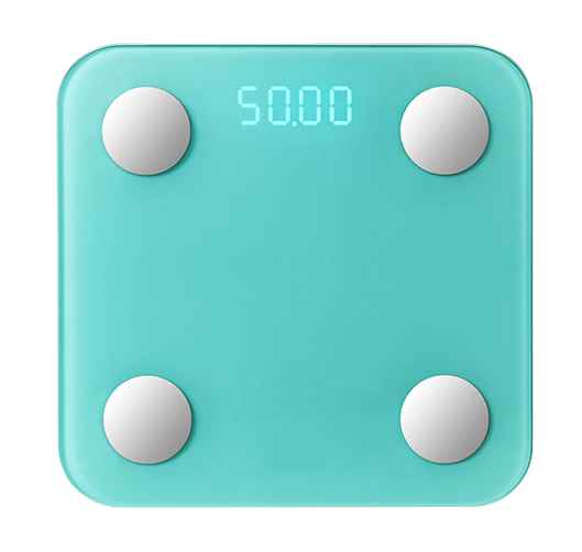 Smart Body Fat Scale