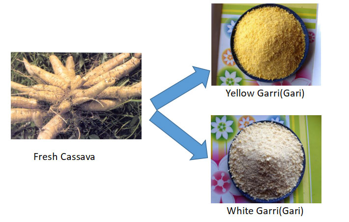 Garri Processing Machinery