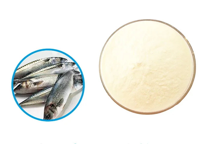 Fish Collagen Peptide