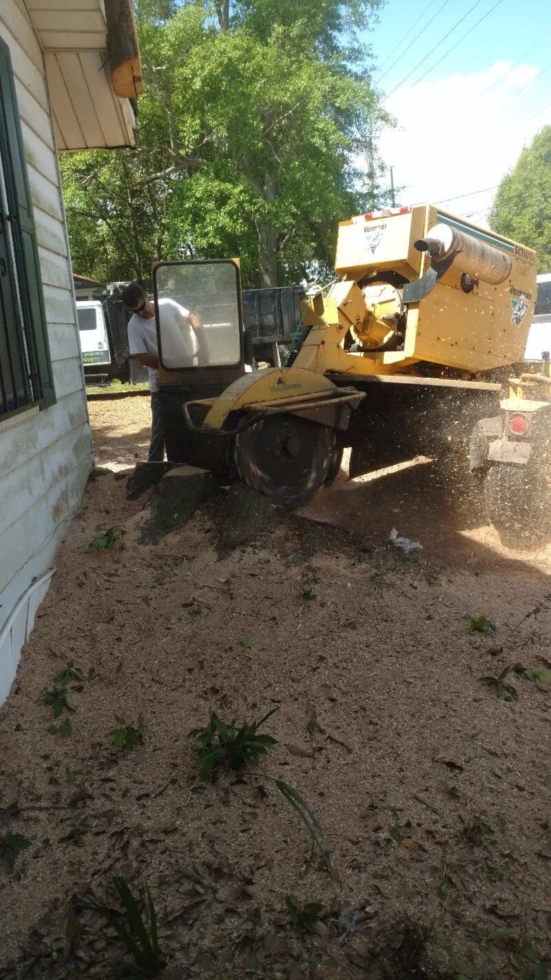 STUMP GRINDING SERVICE