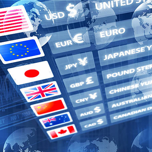 Foreign Currency Converter