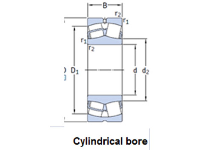 22211 E Spherical Roller Bearings