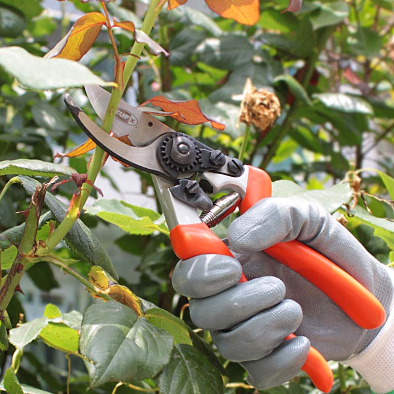 TUFX JAPAN SK-5 BYPASS PRUNER