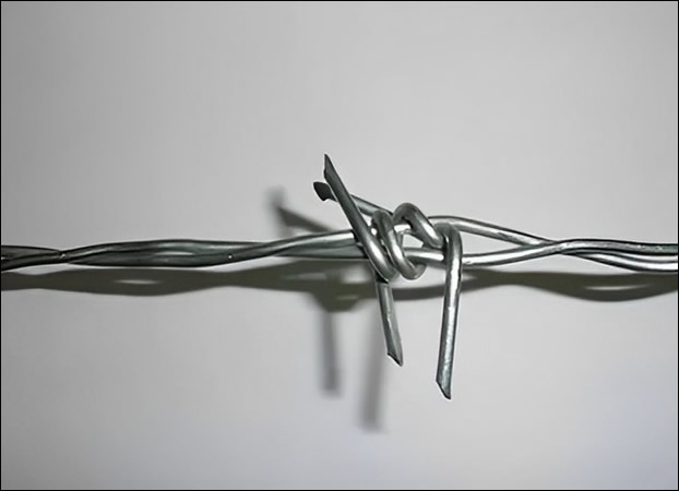 Barbed Wire