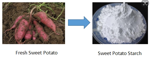 Sweet Potato Starch Machine