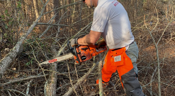 Tree And Brush Removal