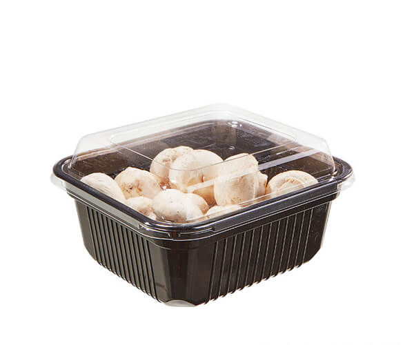 Disposable Plastic PP PET Packing Fruit Vegetable Meat Packaging Food Tray