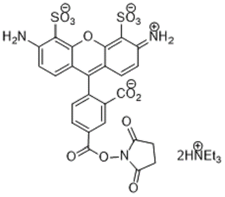 APDye 488 NHS ester (Alexa Fluor® 488 NHS equivalent)