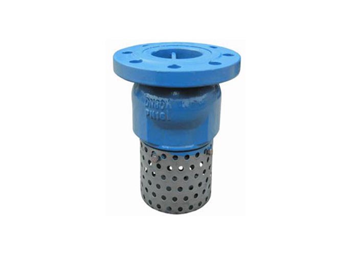 Ductile Iron Foot Valve Flange End