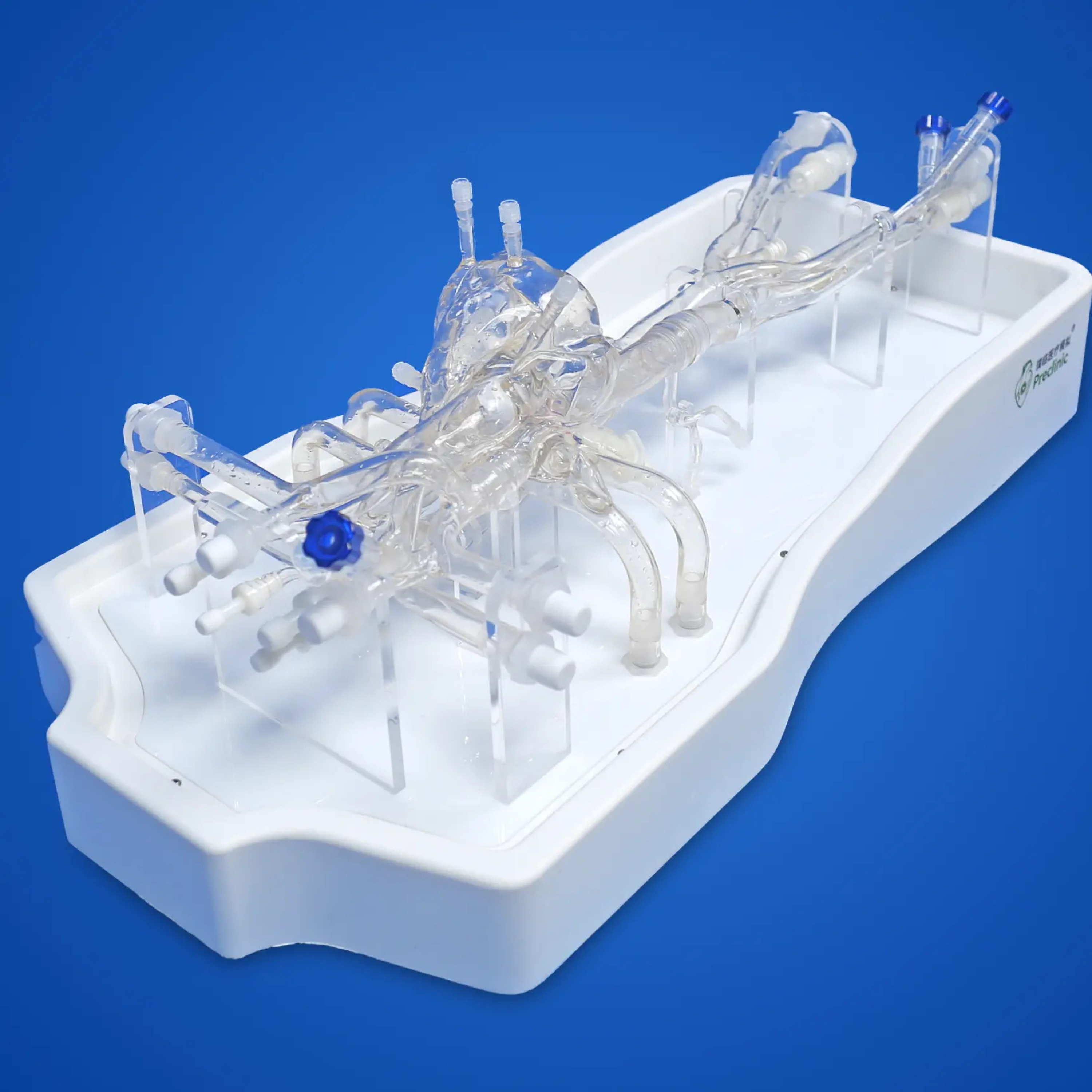 Cardiac Intervention Simulation Model