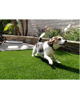 Artificial Grass for Pets