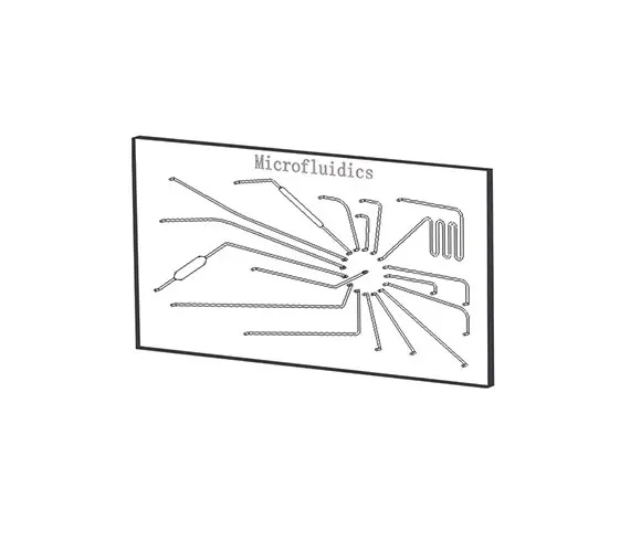 Microfludic Chips