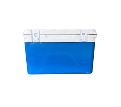 Plastic Insulated Box