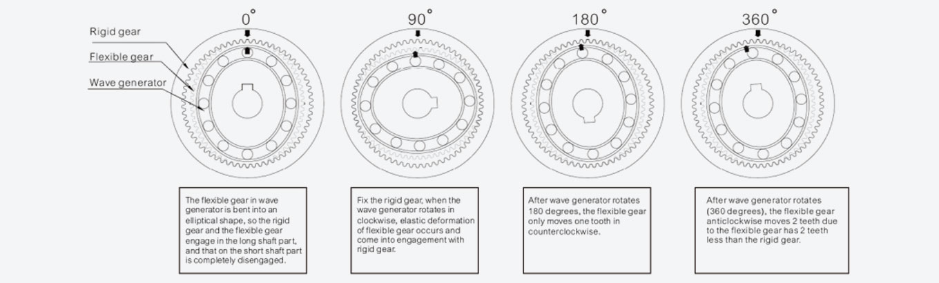 HMCD Series Harmonic Drive Cup Type 