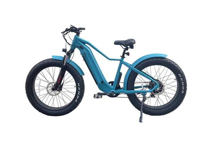 Electric Mountain Bike