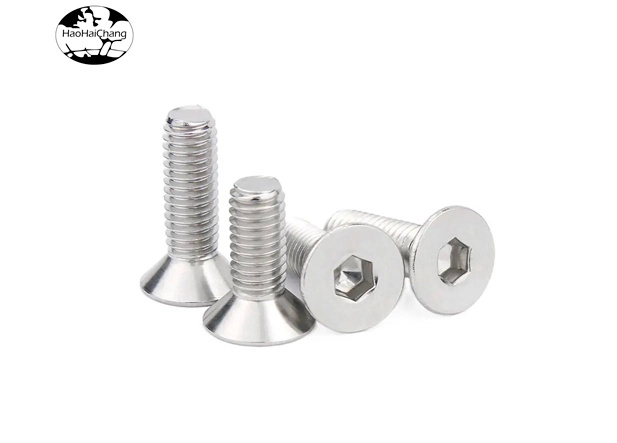 Stainless Steel Cold Headed Screw 01