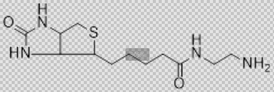 Biotin-amine