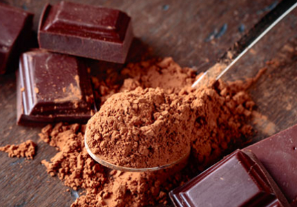 Skyswan Bulk Cocoa Powder Supplier