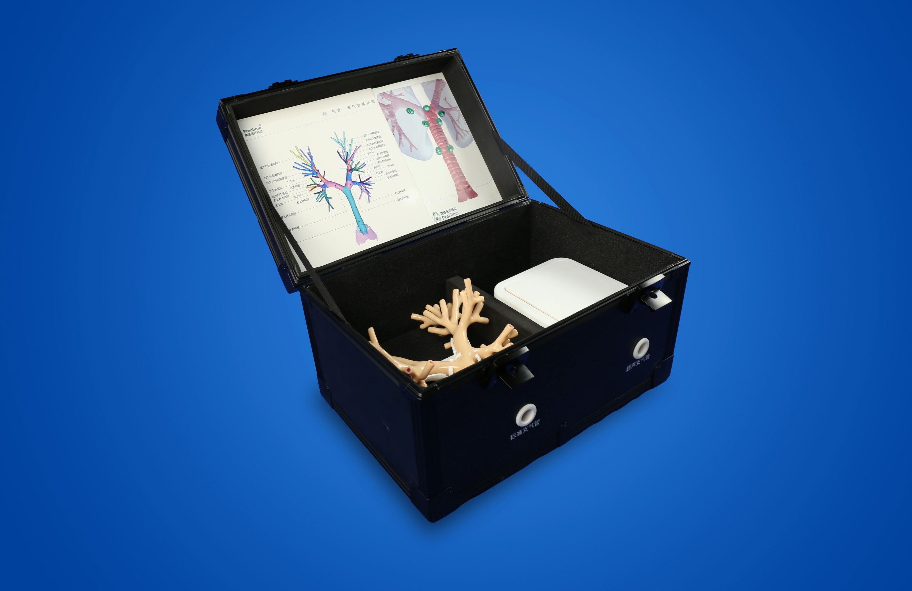 Endobronchial ultrasound (EBUS-TBNA) Training Model