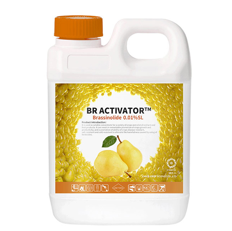 BR ACTIVATOR® Brassinolide 0.01%SL, 0.01%SP Plant Growth Regulator