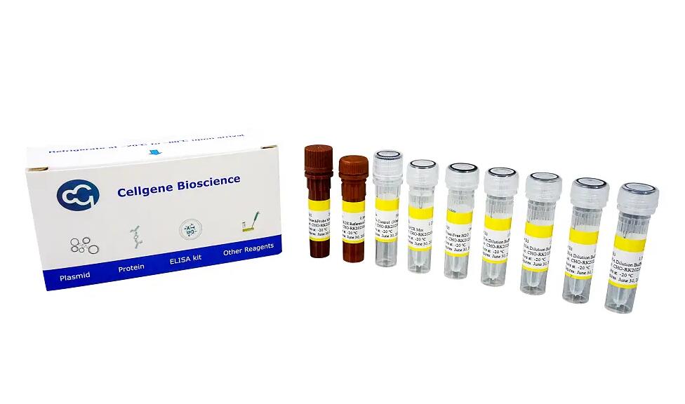 BlueGene Biotech HEK293 Host Cell DNA Residue Detection kit-100T