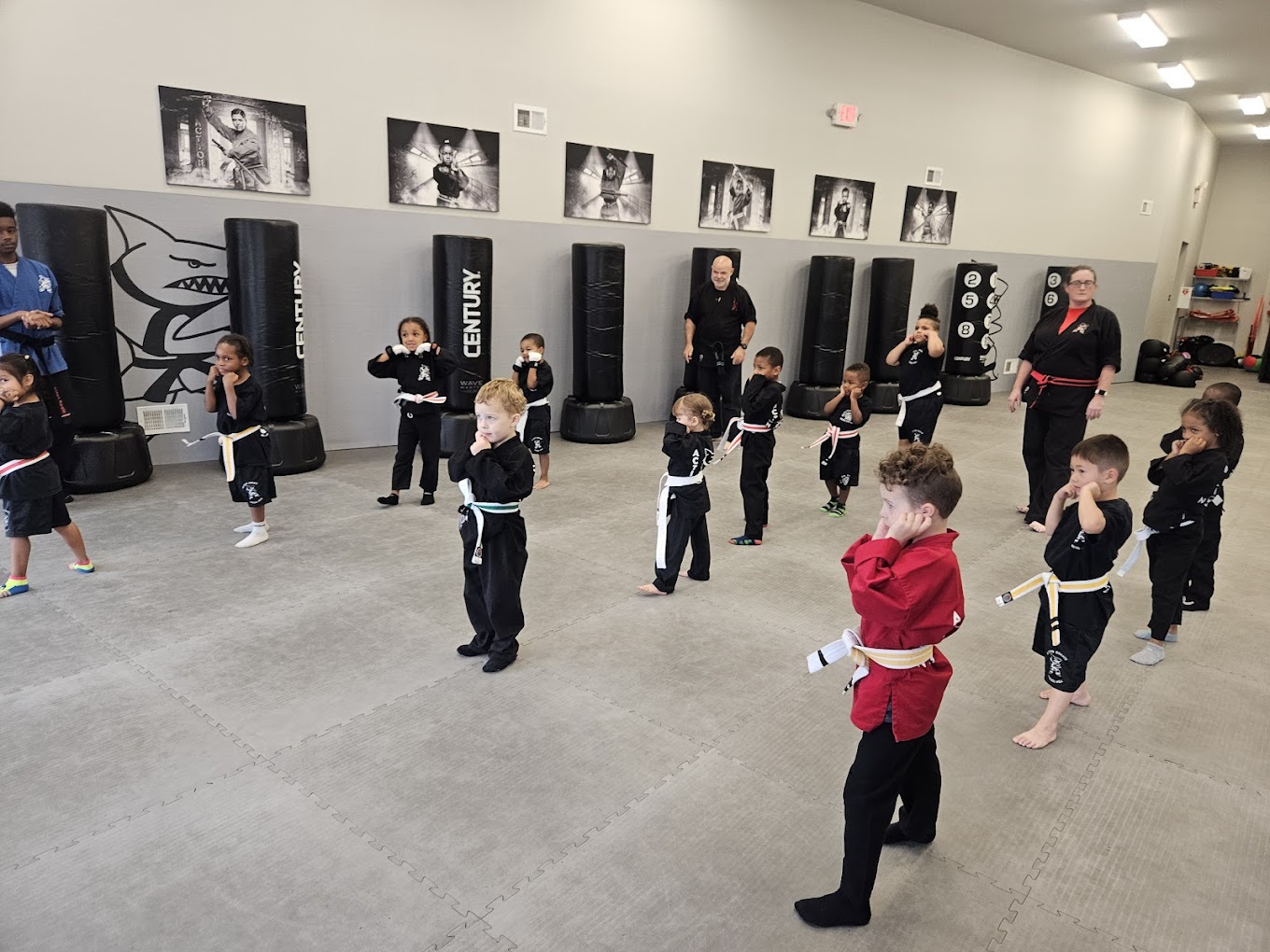 Kids Karate Ages 3-6 (Ninja Sharks)