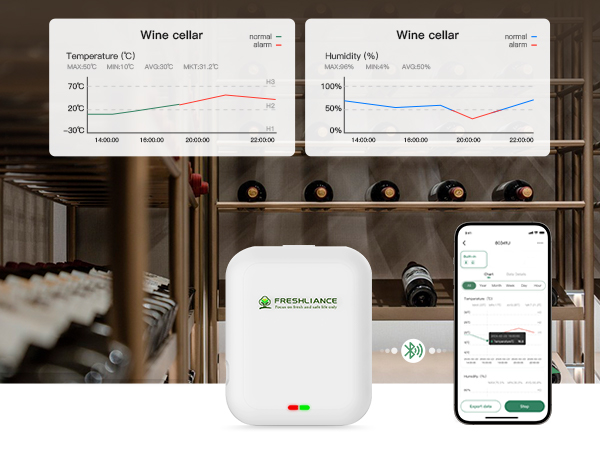 Remote monitoring of real-time temperature recorder for storage