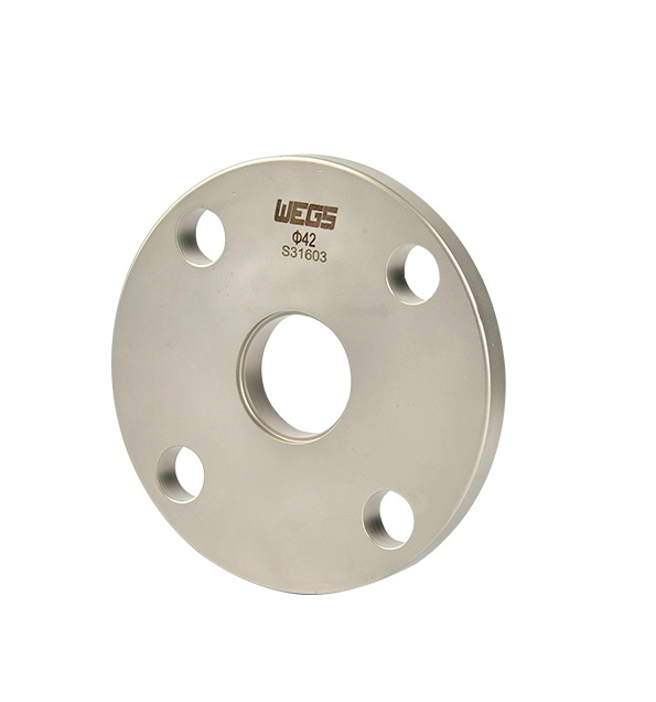 Flat Convex Flange Stainless Steel Pipe Fitting