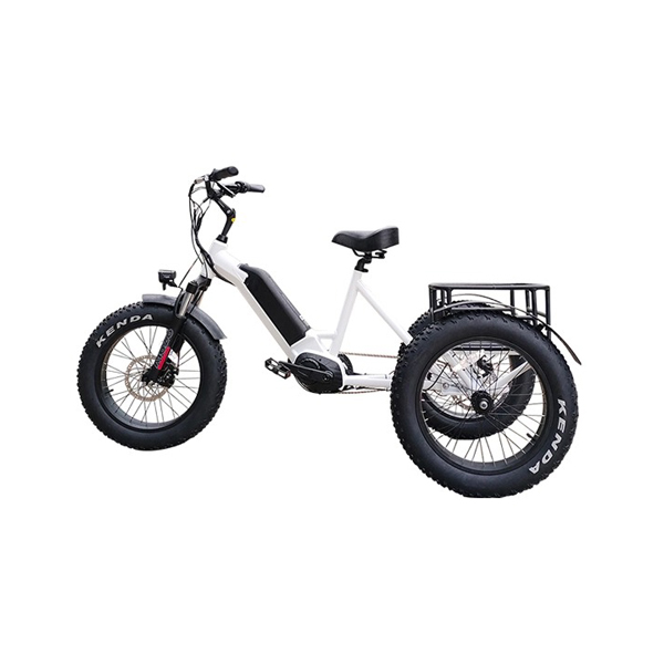 3 Wheel Electric Cargo Bike