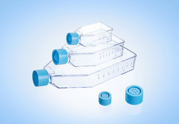 Cell Culture Flask TC-Treated