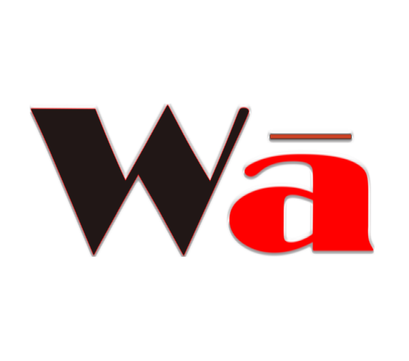 Website Development Service