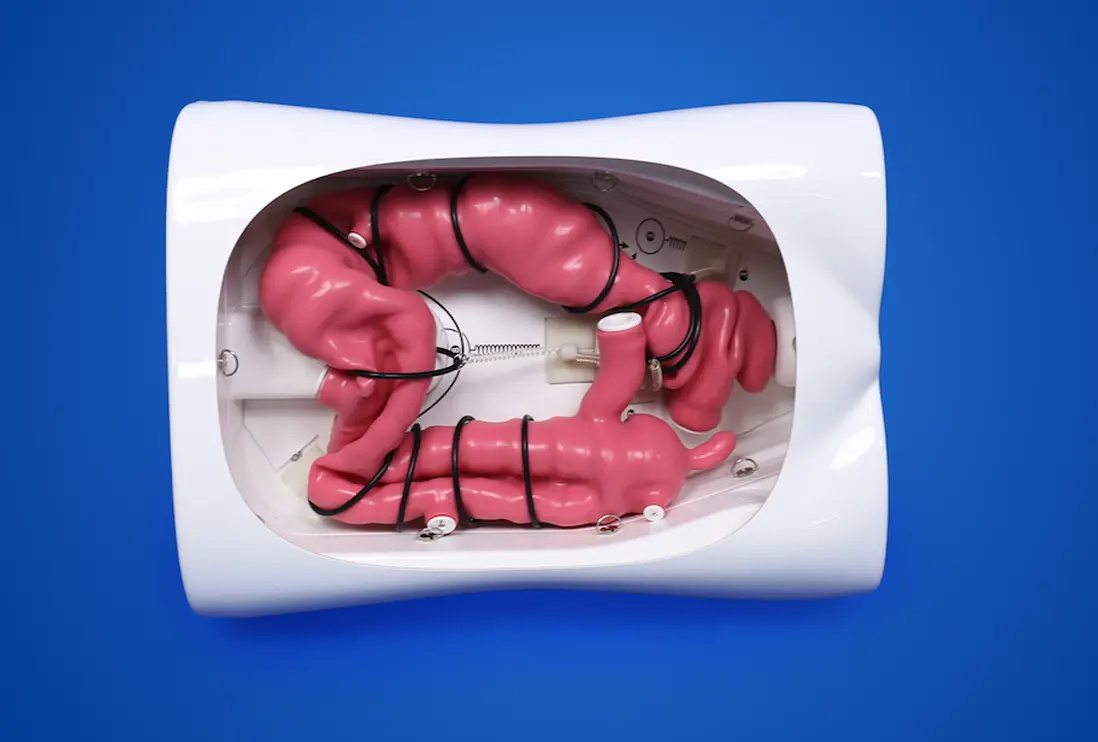 Colonoscopy Training Model