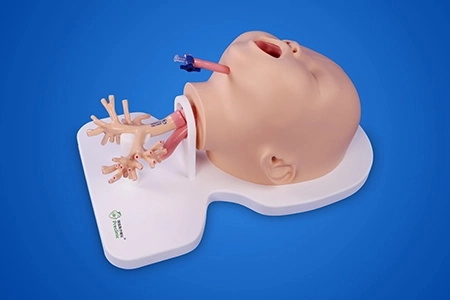 Endoscopy Simulators