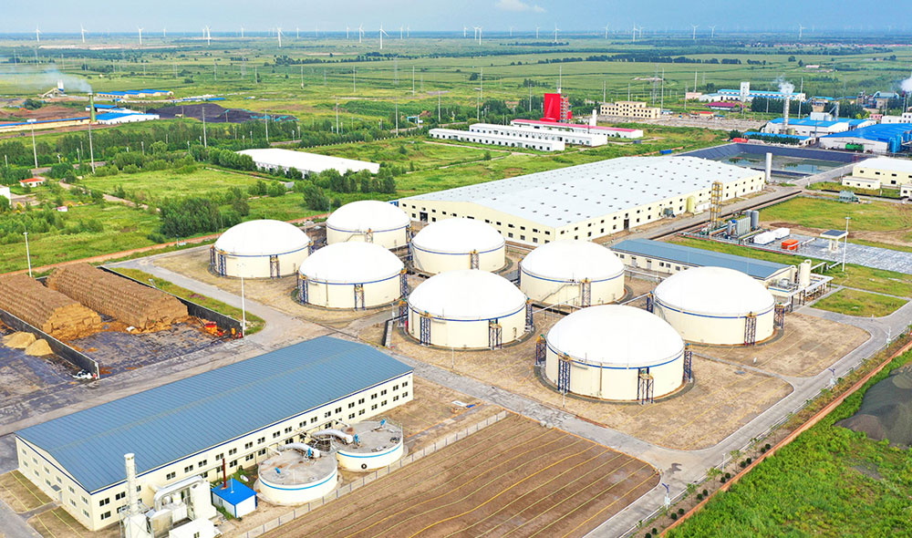 Mixed Raw Materials Biogas Plant