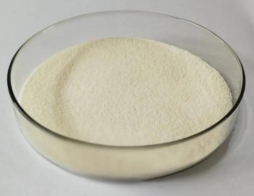 Chitosan CAS 9012-76-4 Wholesale & Bulk