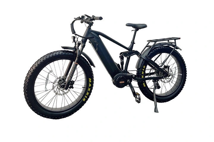 1000w Mid Drive Electric Bike