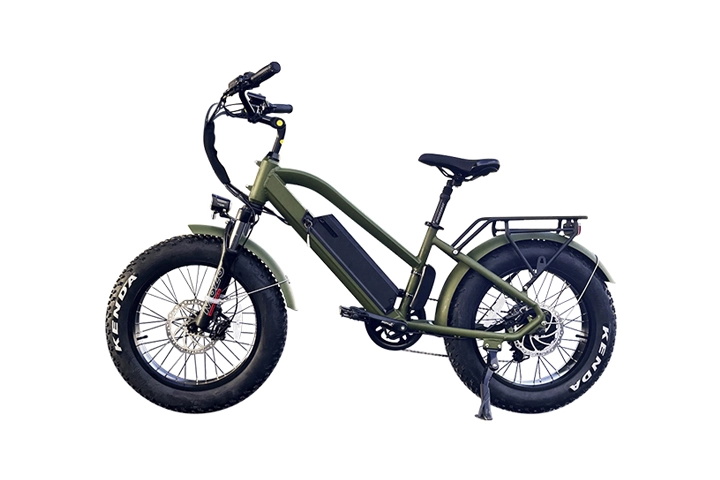 20 Inch Fat Tire Electric Bike