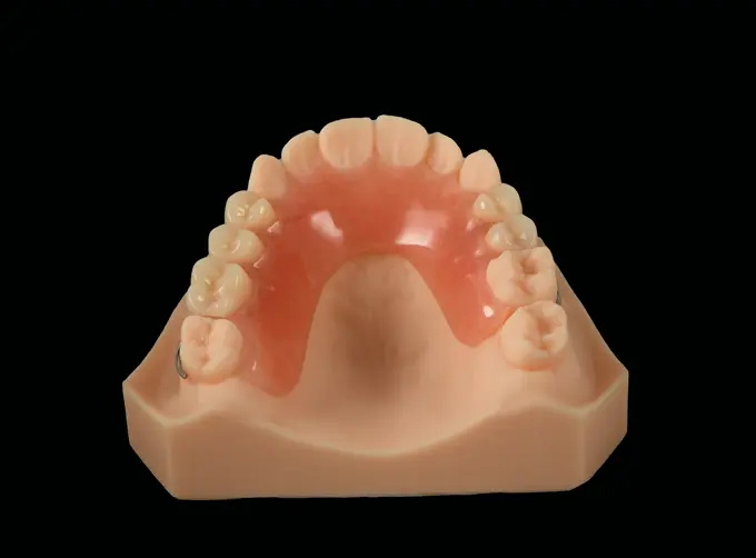 Acrylic Partial Denture (Y Clasp+Wire Clasp)