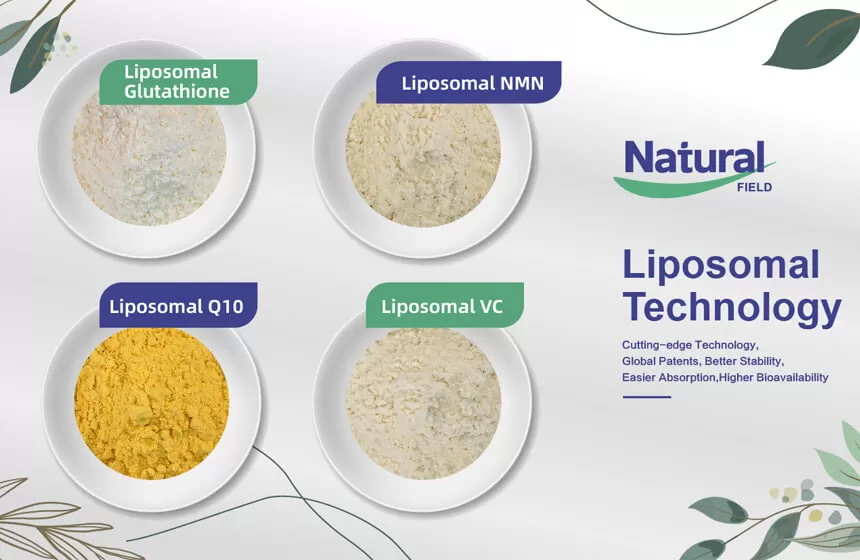 NMN Liposomes Powder