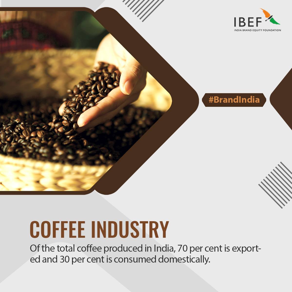 Karnataka: India’s Coffee Production Hub