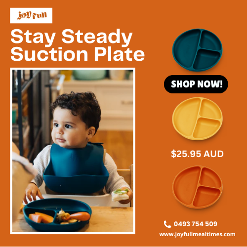 Stay Steady Suction Plate