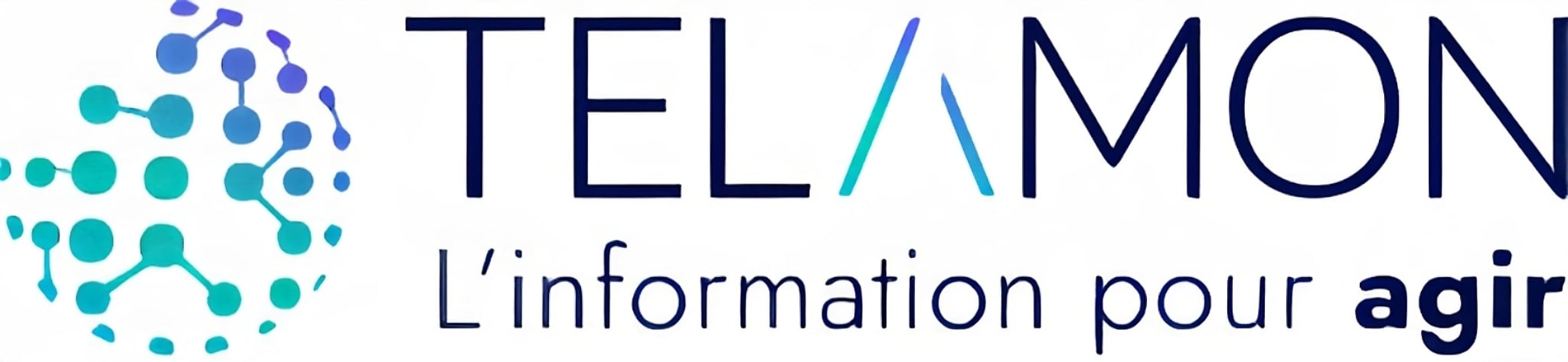 Programutgivning